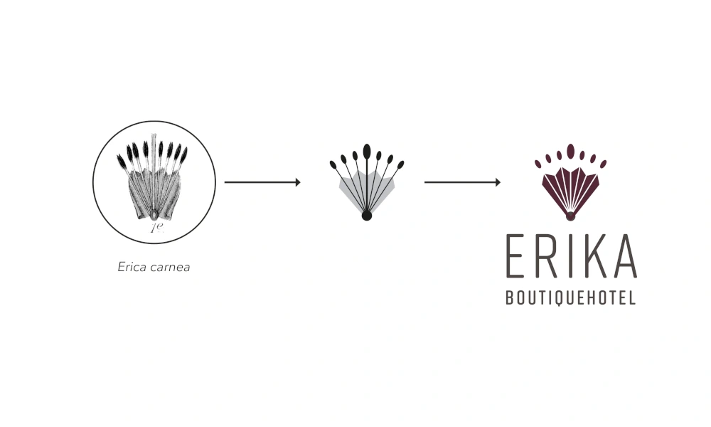 Entwicklungsprozess des Logos des Erika Boutiquehotels, basierend auf einer Illustration der Erica carnea Pflanze, mit Übergangsschritten zur finalen Logo-Design-Version.