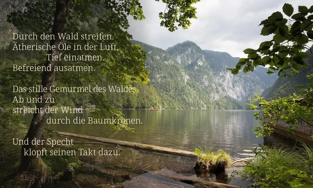 Blick auf einen ruhigen Bergsee umgeben von Wald und Bergen, mit einem Text