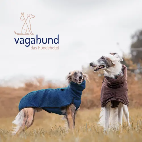 Zwei Windhunde in warmen Hundemänteln stehen auf einer Wiese, einer in Blau, der andere in Braun, mit dem Logo und Schriftzug "vagabund das Hundehotel" im oberen linken Bereich.