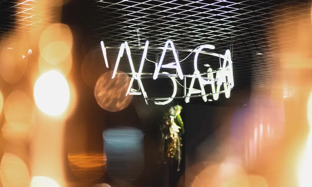 Leuchtendes 'WACA'-Neonschild in einem dunklen Raum mit stimmungsvollen Lichtreflexionen im Vordergrund.