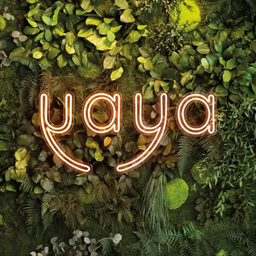Leuchtendes 'Yaya'-Logo in Neon-Schrift vor einer Wand aus üppigem grünem Pflanzenarrangement.